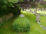 image of grave number 398119